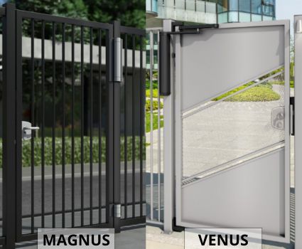 MAGNUS et VENUS